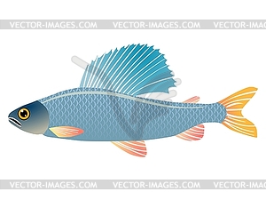 Fish - vector clipart