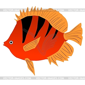 Tropical fish - vector image