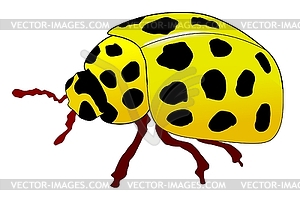 Yellow ladybird - vector clip art