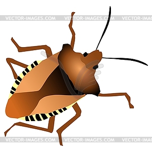 Forest bug - royalty-free vector image