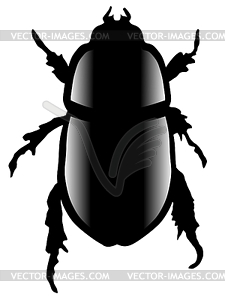 Scarab beetle - vector clip art