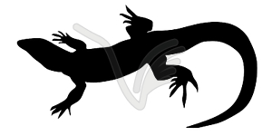 Silhouette of lizard - vector image