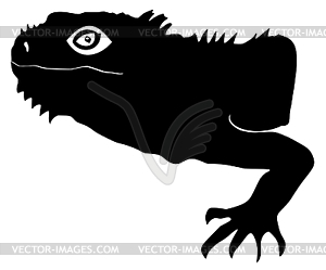 Silhouette of iguana - vector clip art