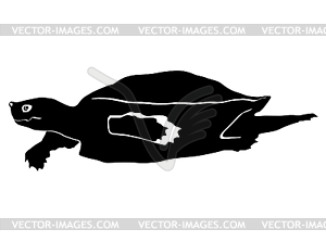 Silhouette of loggerhead turtle - vector image