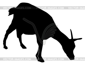 Silhouette of goat - stock vector clipart