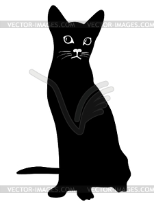 Cat - vector image