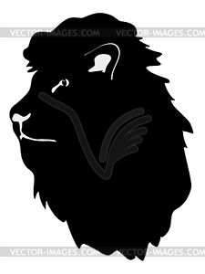 Lion - vector image