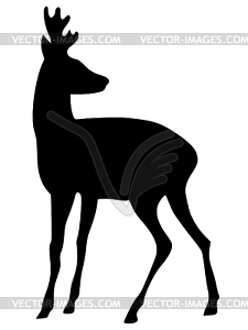 Roe - vector clipart