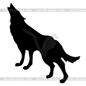 Wolf - vector clip art