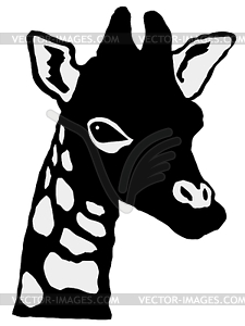 Giraffe - vector image