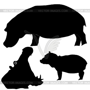 Hippopotamus - vector image