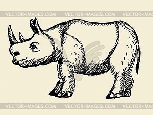 A rhinoceros - vector image