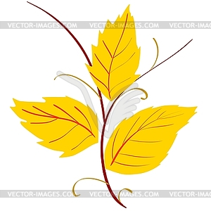 Yellow leaves - vector clipart