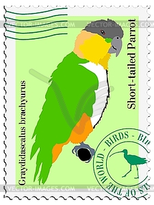 Stamp with parrot - vector image