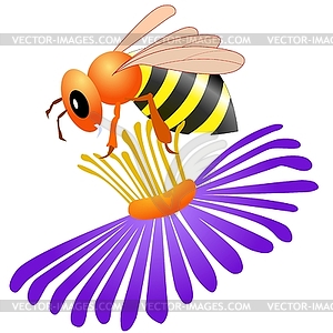 Bee on flower - vector clipart