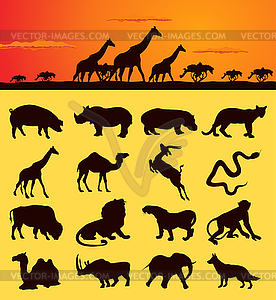 African animals - color vector clipart