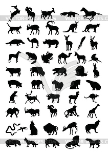 Animal - stock vector clipart