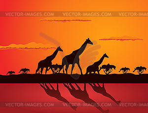 Giraffe - vector image