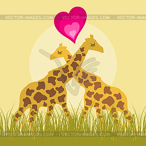 Love giraffe - royalty-free vector image