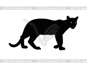 panther - изображение в векторе