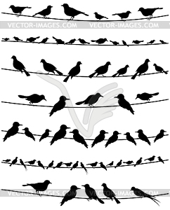 Bird on wire - vector clipart