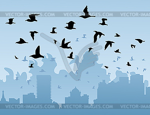 Birds over city - vector image