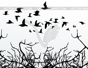 Birds over wood - vector image