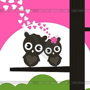 Enamoured owls - color vector clipart