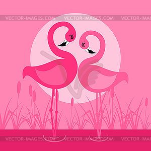 Flamingo - vector clip art