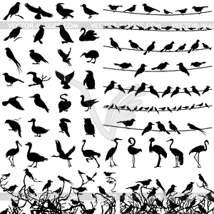 Silhouette of birds - royalty-free vector clipart