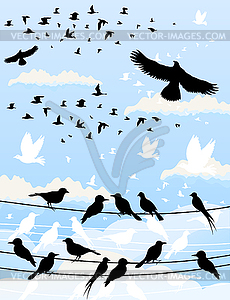 Bird - vector clipart