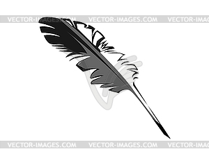 Feather - white & black vector clipart