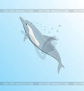 Dolphin - color vector clipart