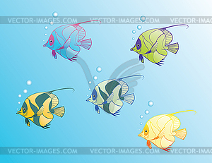 Magic fishes - vector clip art