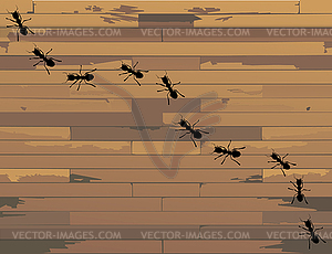 Ant - vector clipart