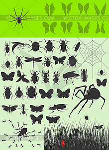 Collection of insects - vector clipart