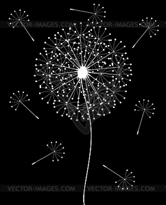 Dandelion - vector clip art