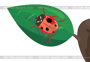 Ladybird - vector clip art