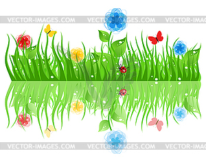 Grass - vector image