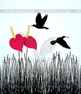 Humming-bird - vector clipart