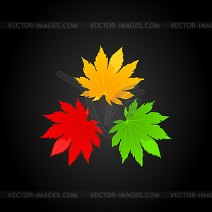 Three leaves - vector image