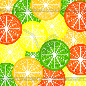 Background citrus - vector clipart / vector image