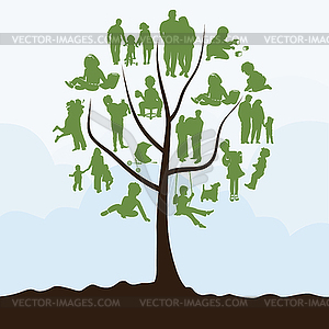 Family tree - vector clipart