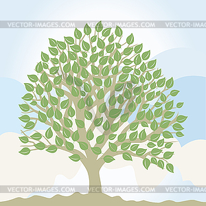 Tree - vector image