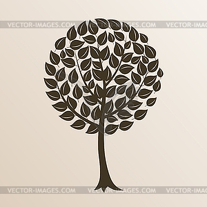 Park trees - color vector clipart