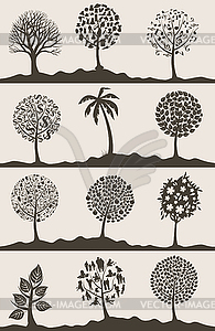 Wood tree - vector clip art