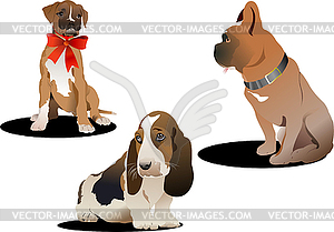 Three cute dogs. - vector image