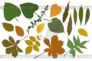 Leaves color - vector clip art