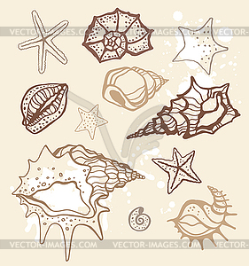 Shells set - vector image
