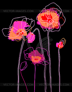 Pink poppies on black background - vector clipart